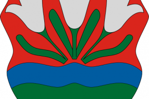 cimer